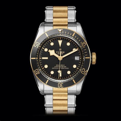 tudor black bay s&g.